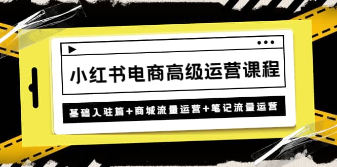 小红书电商高级运营课程：基础入驻篇+商城流量运营+笔记流量运营-疯来资源