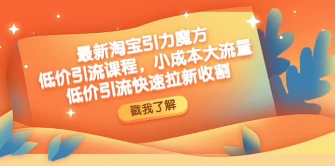 最新淘宝引力魔方低价引流实操：小成本大流量-疯来资源
