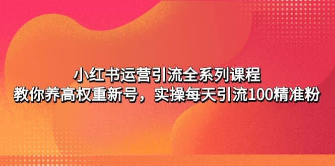 小红书运营引流全系列课程：教你养高权重新号-疯来资源
