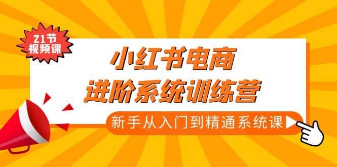 小红书电商进阶系统训练营：新手从入门到精通系统课（21节视频课）-疯来资源