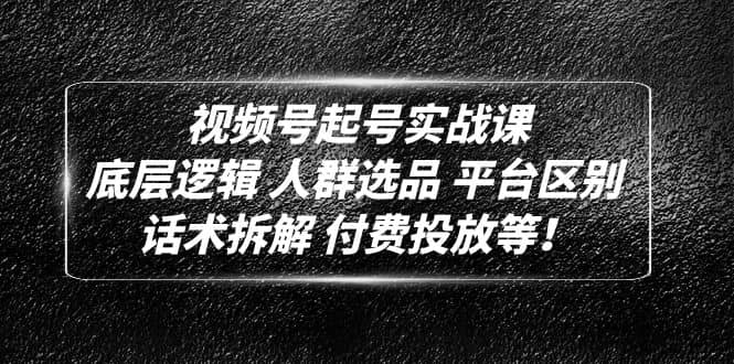 视频号起号实战课：底层逻辑 人群选品 平台区别 话术拆解 付费投放等-疯来资源