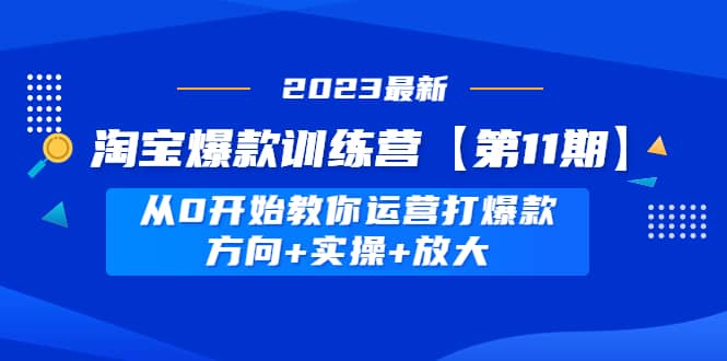 淘宝爆款训练营【第11期】 从0开始教你运营打爆款，方向+实操+放大-疯来资源