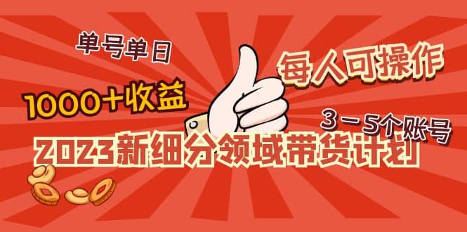 2023新细分领域带货计划：单号单日1000+收益不难，每人可操作3-5个账号-疯来资源