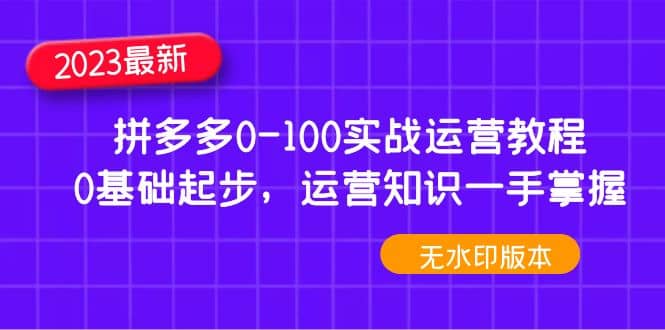 2023拼多多0-100实战运营教程，0基础起步，运营知识一手掌握（无水印）-疯来资源