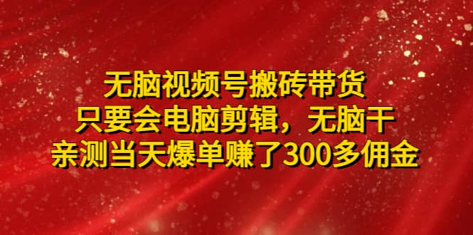 无脑视频号搬砖带货，只要会电脑剪辑，无脑干-疯来资源