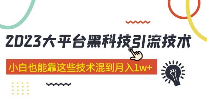 价值4899的2023大平台黑科技引流技术 29节课-疯来资源