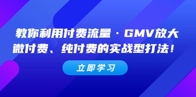 教你利用付费流量·GMV放大，微付费、纯付费的实战型打法-疯来资源