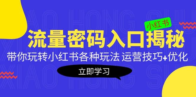 小红书流量密码入口揭秘：带你玩转小红书各种玩法 运营技巧+优化-疯来资源