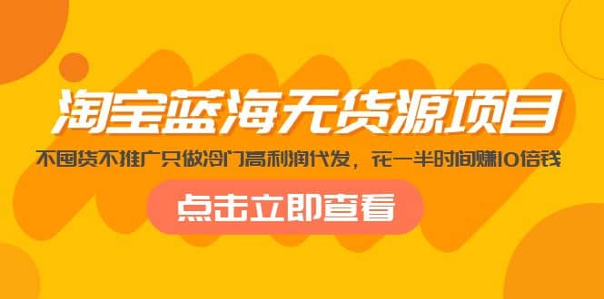 淘宝蓝海无货源项目，不囤货不推广只做冷门高利润代发-疯来资源