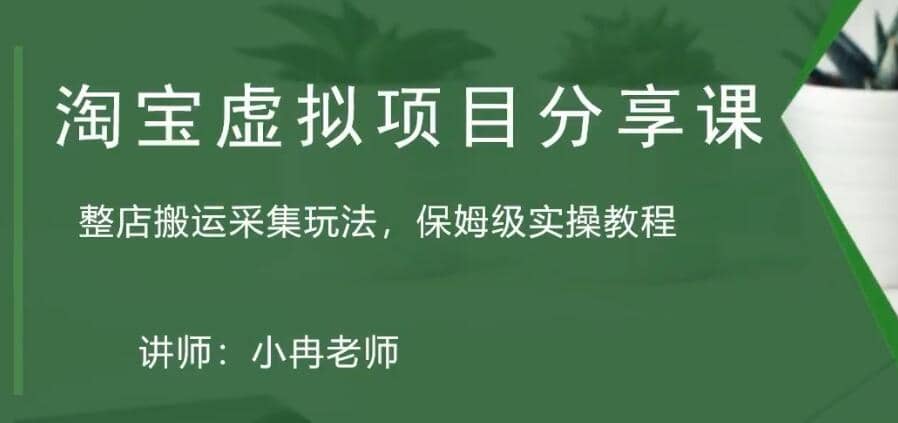 淘宝虚拟整店搬运采集玩法分享课：整店搬运采集玩法，保姆级实操教程-疯来资源