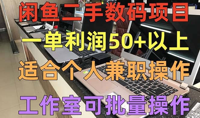 闲鱼二手数码项目，个人副业低保收入，工作室批量放大操作-疯来资源