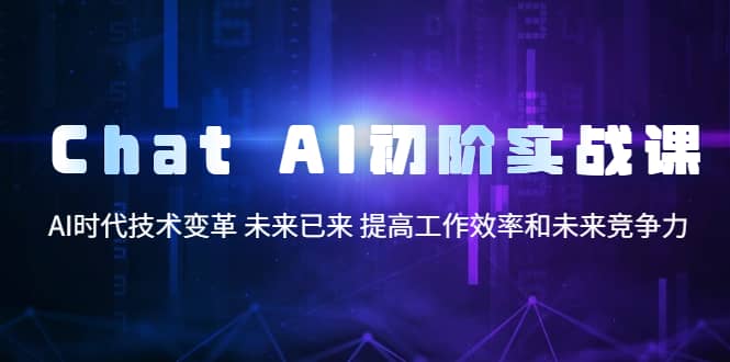Chat AI初阶实战课，AI时代技术变革 未来已来 提高工作效率和未来竞争力-疯来资源