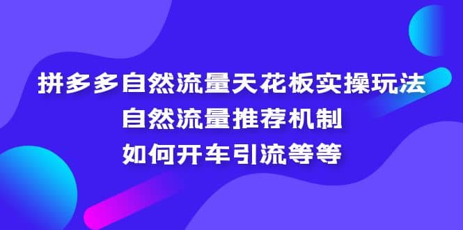 拼多多自然流量天花板实操玩法：自然流量推荐机制，如何开车引流等等-疯来资源