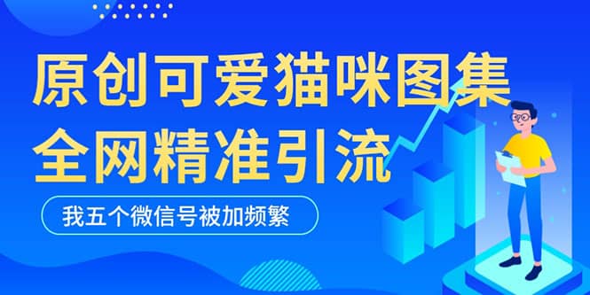 黑科技纯原创可爱猫咪图片，全网精准引流，实操5个VX号被加频繁-疯来资源