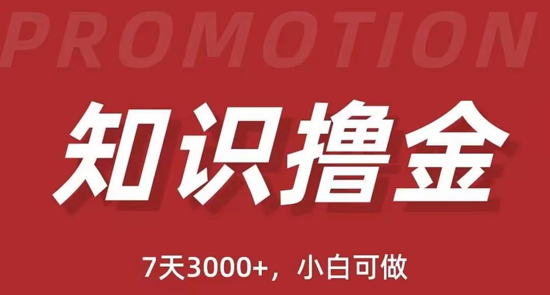 抖音知识撸金项目：执行力强当天见收益(教程+资料)-疯来资源