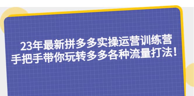 23年最新拼多多实操运营训练营：手把手带你玩转多多各种流量打法！-疯来资源