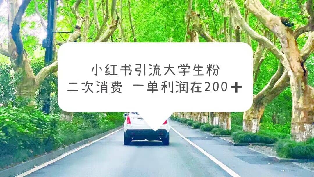 小红书引流大学生粉，变现项目，一单利润在200+（教程+资源）-疯来资源