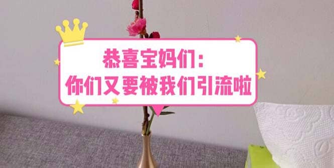 恭喜宝妈们：你们又要被我们引流了（教程+222g资料）-疯来资源