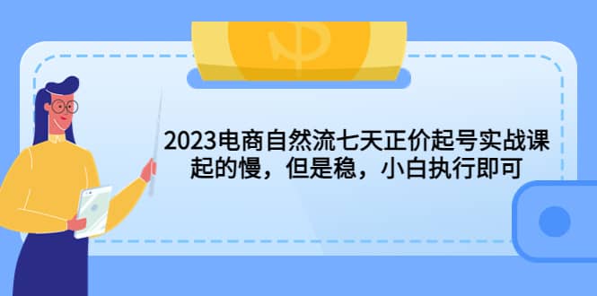 2023电商自然流七天正价起号实战课：起的慢，但是稳，小白执行即可-疯来资源