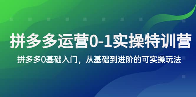 拼多多-运营0-1实操训练营，拼多多0基础入门，从基础到进阶的可实操玩法-疯来资源