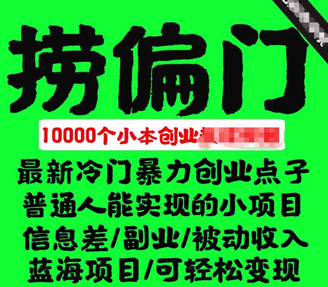 千款捞偏门小本创业小项目，总有一款适合你【无水印】-疯来资源
