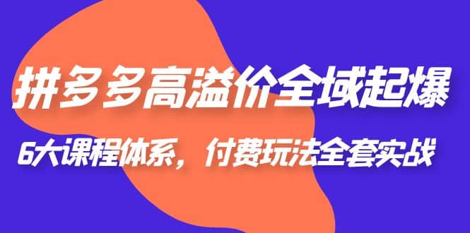 拼多多-高溢价 全域 起爆，6大课程体系，付费玩法全套实战-疯来资源