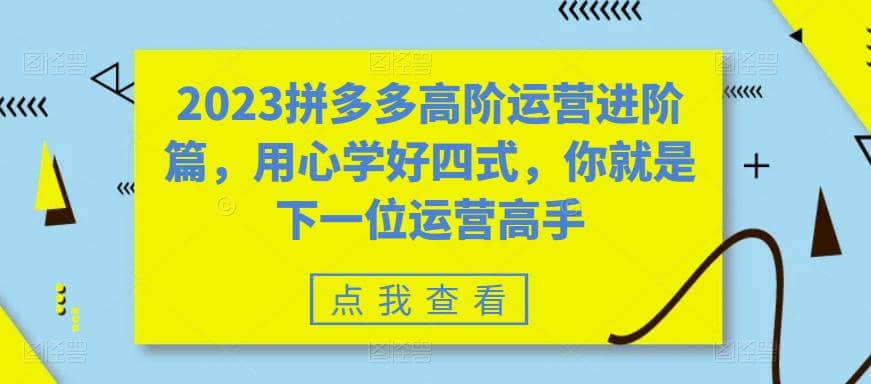 2023拼多多高阶运营进阶篇，用心学好四式，你就是下一位运营高手-疯来资源