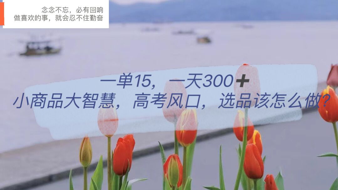 一单15，一天300+，小商品大智慧，高考风口，选品该怎么布局-疯来资源