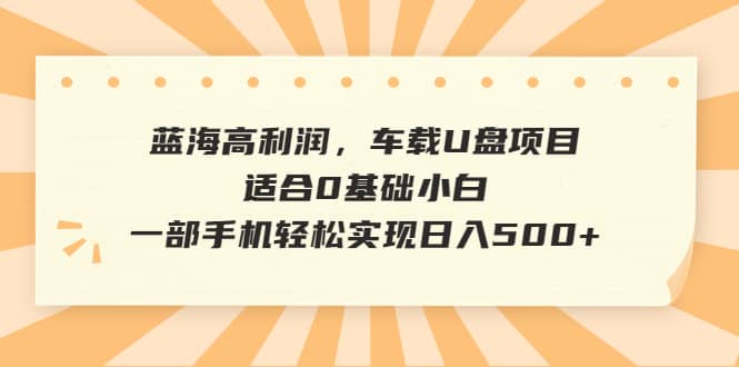 蓝海高利润，车载U盘项目，适合0基础小白，一部手机轻松实现日入500+-疯来资源