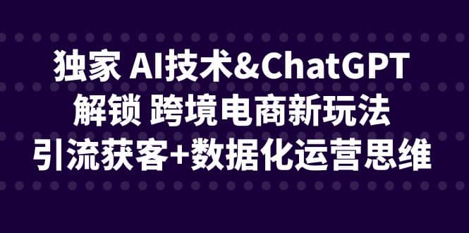 独家 AI技术ChatGPT解锁 跨境电商新玩法，引流获客+数据化运营思维-疯来资源