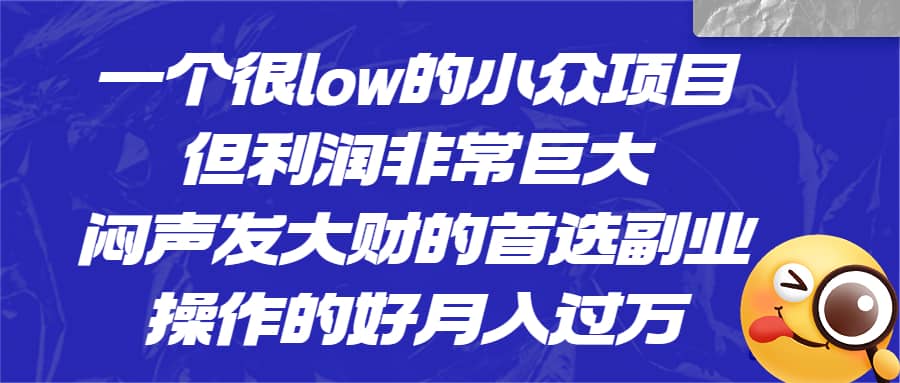 一个很low的小众项目，但利润非常巨大，闷声发大财的首选副业，月入过万-疯来资源