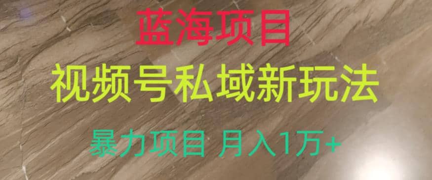蓝海项目，视频号私域新玩法，暴力项目月入1万+【揭秘】-疯来资源