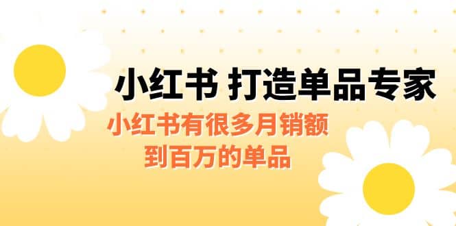 某公众号付费文章《小红书 打造单品专家》小红书有很多月销额到百万的单品-疯来资源