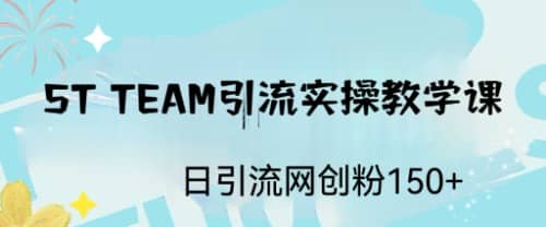 ST TEAM引流实操课，日引流网创粉100+-疯来资源