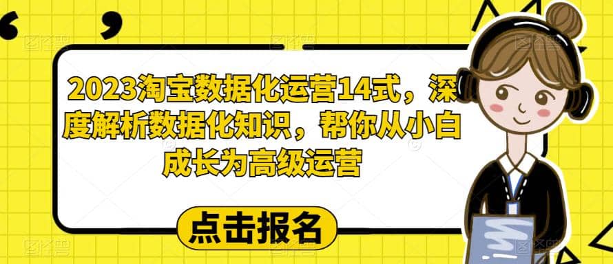 2023淘宝数据化-运营 14式，深度解析数据化知识，帮你从小白成长为高级运营-疯来资源