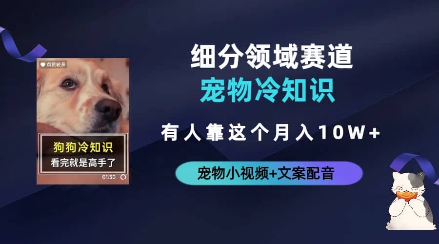 不起眼的抖音细分赛道-宠物冷知识，一段宠物视频配文案，有人靠这个月入10w-疯来资源
