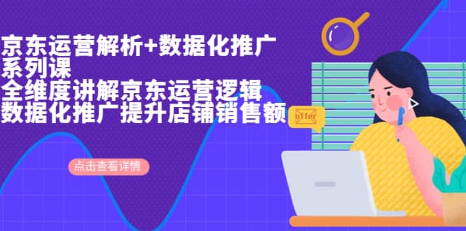 京东运营解析与数据化推广系列课，全维度讲解京东运营逻辑+数据化推广提升店铺销售额-疯来资源