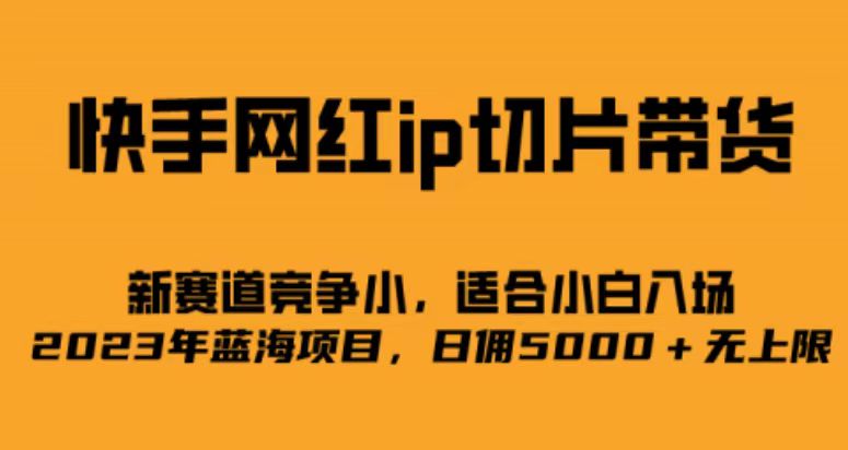 快手网红ip切片新赛道，竞争小事，适合小白 2023蓝海项目-疯来资源