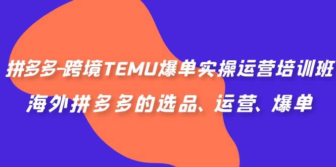 拼多多-跨境TEMU爆单实操运营培训班，海外拼多多的选品、运营、爆单-疯来资源