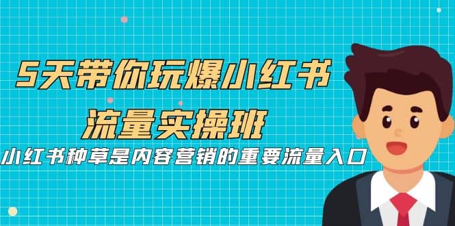 5天带你玩爆小红书流量实操班，小红书种草是内容营销的重要流量入口-疯来资源