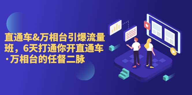 直通车+万相台引爆流量班，6天打通你开直通车·万相台的任督 二脉-疯来资源