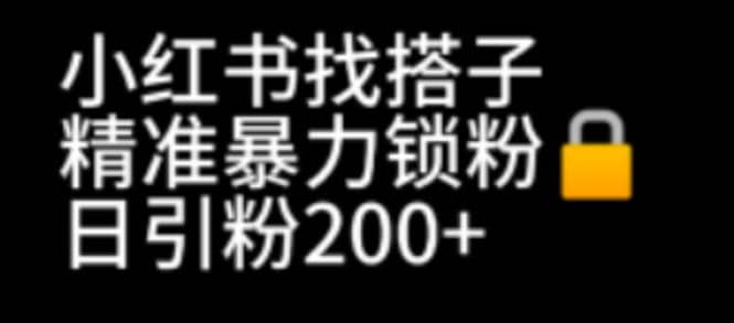 小红书找搭子暴力精准锁粉+引流日引200+精准粉-疯来资源