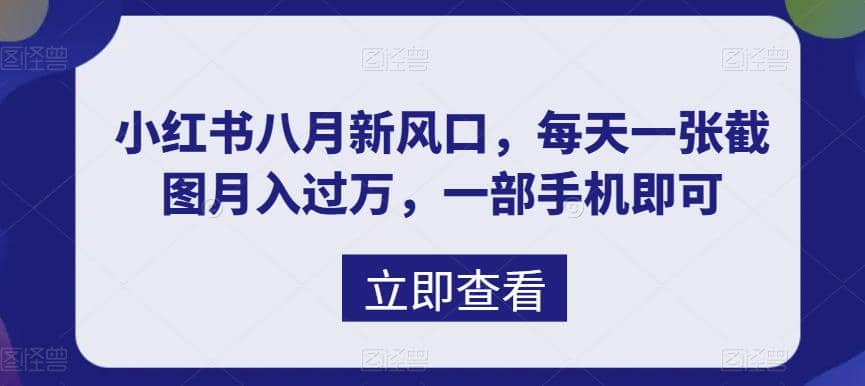 八月新风口，小红书虚拟项目一天收入1000+，实战揭秘-疯来资源