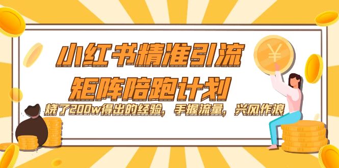 小红书精准引流·矩阵陪跑计划：烧了200w得出的经验，手握流量，兴风作浪！-疯来资源