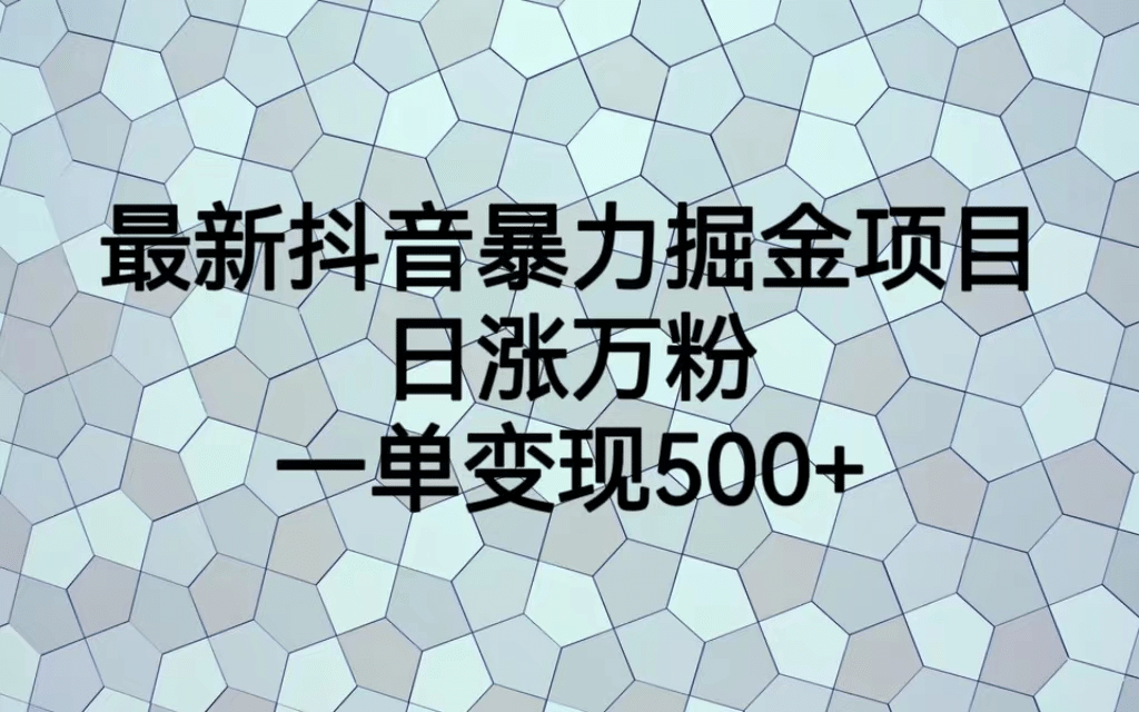 最火热的抖音暴力掘金项目，日涨万粉，多种变现方式，一单变现可达500+-疯来资源