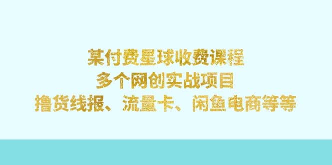 某付费星球课程：多个网创实战项目，撸货线报、流量卡、闲鱼电商等等-疯来资源