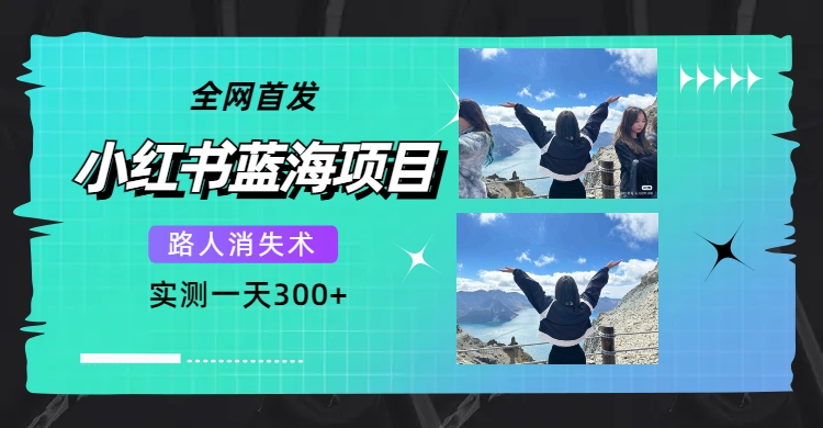 全网首发，小红书蓝海项目，路人消失术，实测一天300+（教程+工具）-疯来资源