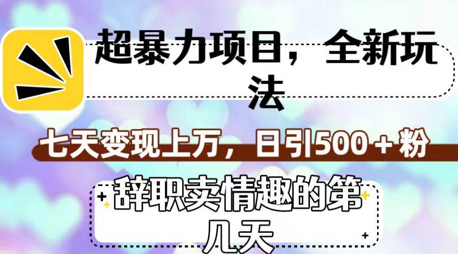 超暴利项目，全新玩法（辞职卖情趣的第几天），七天变现上万，日引500+粉-疯来资源