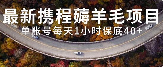 最新携程薅羊毛项目，单账号每天1小时保底收益40+，可矩阵操作-疯来资源