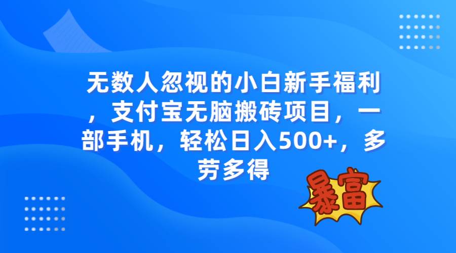 无数人忽视的项目，支付宝无脑搬砖项目，一部手机即可操作，轻松日入500+-疯来资源